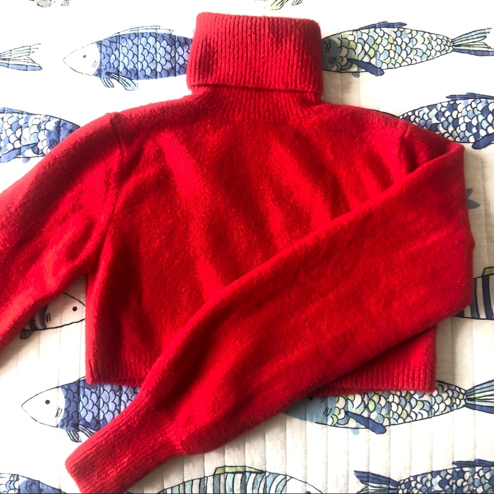 PRINCESS POLLY X OLIVIA JADE cropped red sweater